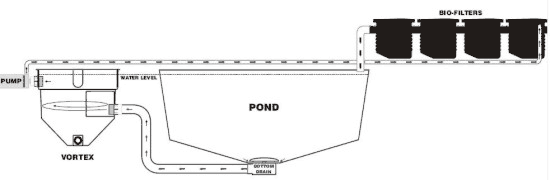 Combination Installation for Pond Filtration