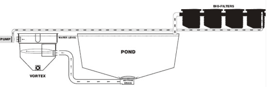 Combination Pond Filtration Setup